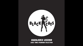 ブラックキャッツ BGM BLACK CATS