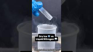 Dry ice 🧊 vs Liquid Nitrogen 🌧️  #Satisfying #Experiment #Science #ASMR #LiquidNitrogen