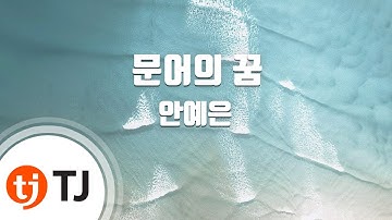 [TJ노래방] 문어의꿈 - 안예은 / TJ Karaoke