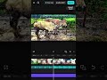 Village🌿Solo Cinematic✨️ Editing#shorts #viral #cinematic#edit #explore
