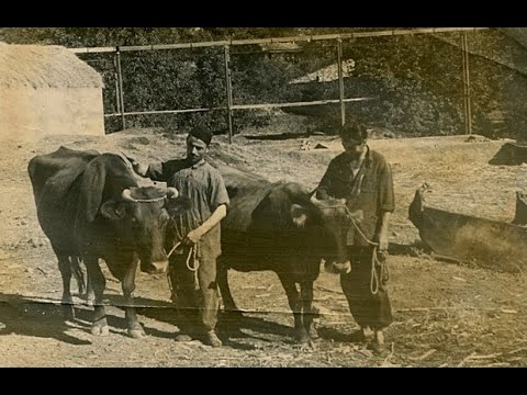 ”ინიციატივა ცვლილებებისთვის” - წიგნის პრეზენტაცია