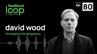 These are the Principles of the Singularity | David Wood on Feedback Loop, ep 80