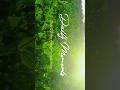 Daily moment cinematic video by #sahebbhowmik #cover