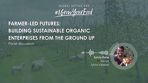 Why Entrepreneurship is the Missing Link?