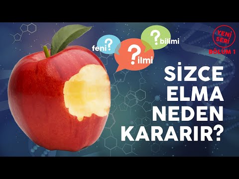 Video: Elma Neden Kararır