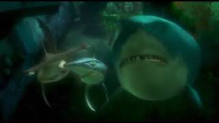 Finding Nemo: Probably American.