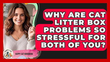 Why Are Cat Litter Box Problems So Stressful For Both Of You? - Happy Cat Handbook