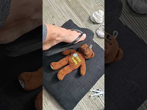 Livestream highlight