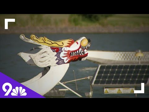 Colorado Dragon Boat Festival returns to Sloan's Lake