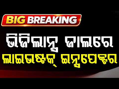 Vigilance Raid on Livestock Inspector in Nabarangpur | Massive Cash Seized | Argus News