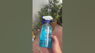 Cách khử mùi hôi không gian nuôi thú cưng