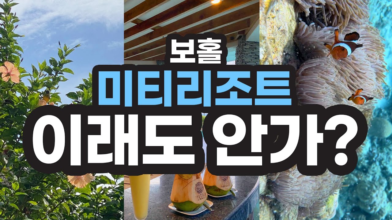🐠스노클링+숙소를 한번에 해결?? 🪸좋아도 너무 좋은 수중 환경 퀄리티 🪸✨보홀 미티리조트🇵🇭