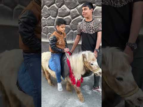 كميل الوافي