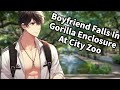 Asmr clumsy boyfriend falls in gorilla enclosure relaxing