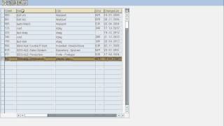 How to enable CATT in a client, SAP