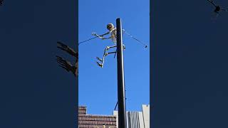 2 BOYS ELECTROCUTED PLAYING ON HIGH VOLTAGE LINES