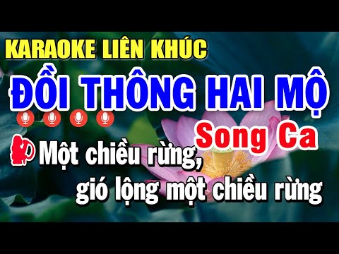Karaoke Liên Khúc Bolero Song Ca Hòa Giọng Ngọt Ngào , Beat Chuẩn Hay Nhất | Đồi Thông Hai Mộ