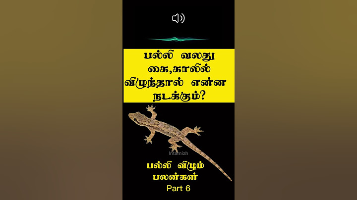 பல்லி வலது கை, காலில்  விழுந்தால் இது நடக்கும்!  | Palli vilum palan in Tamil | Intamizh | #shorts