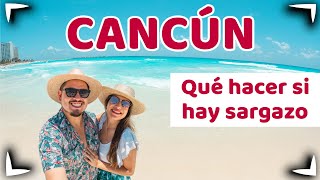 CANCUN Mexico GUIDE  What to do if there is SARGASSUM ►  ✅ Beaches, Cenotes & Parks ► Sin Postal