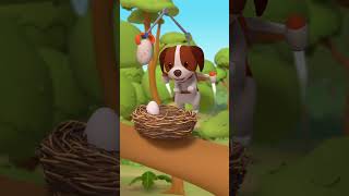 Brother From Another Mother? Leo The Wildlife Ranger