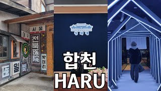 [Zoo_Haru] #26 백리벚꽃길 갔다가 경남 합천 가볼만한 곳 I 합천 영상테마파크