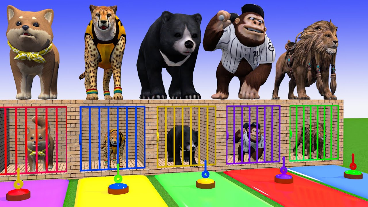 Long Slide Game With Cow Elephant Gorilla Hippopotamus Tiger 3d Animal Game Funny 3d Animals Top