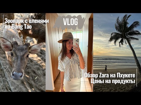 Видео: Кормление оленей. Zara в Central Phuket. Цены на Пхукете 2024 | VLOG