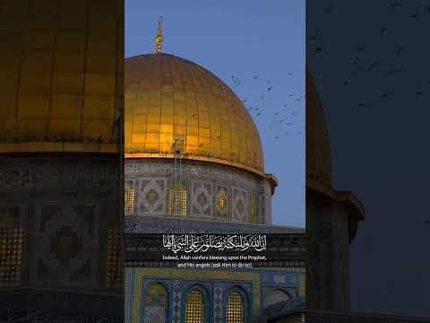 إن الله وملائكته يصلون على النبي يا أيها الذين آمنوا صلوا عليه وسلموا تسليما القارئ محمد الفقيه