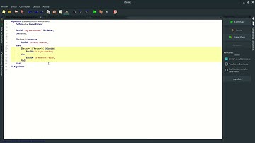 Menor, mayor y de tercera edad - PSeInt