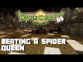 Wynncraft #4 | Beating A Spider Queen