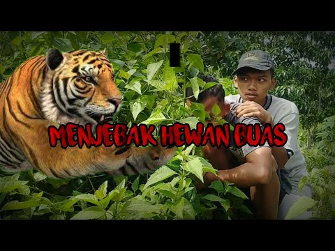 Cara membuat jebakan hewan buas