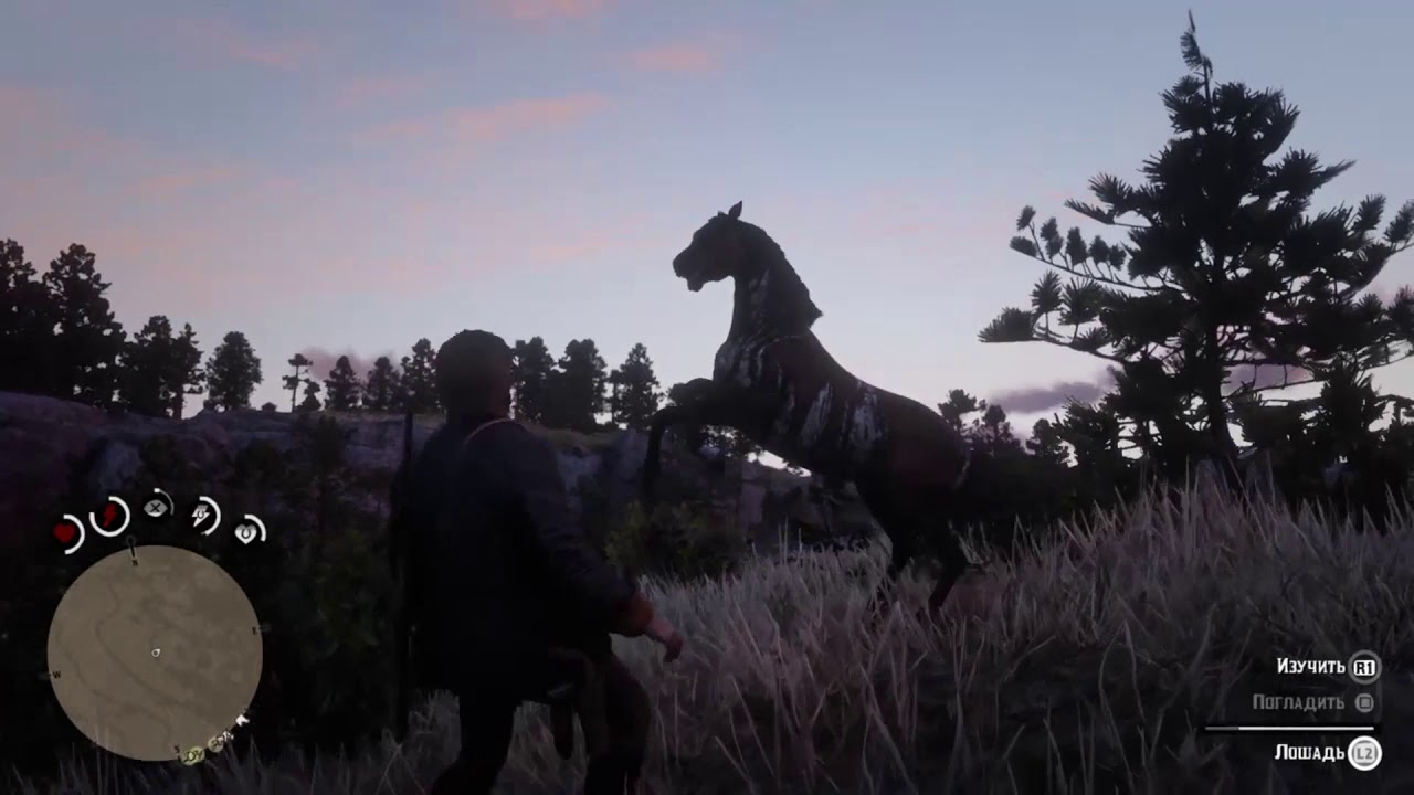 Где Купить Лучшую Лошадь В Rdr 2