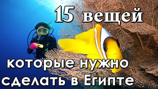 15 Вещей которые нужно сделать в Египте (Шарм эль Шейх) видео Что купить туристу в Египте, кроме сувениров?