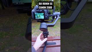 DJI RONIN SC AND CANON 250D #shorts