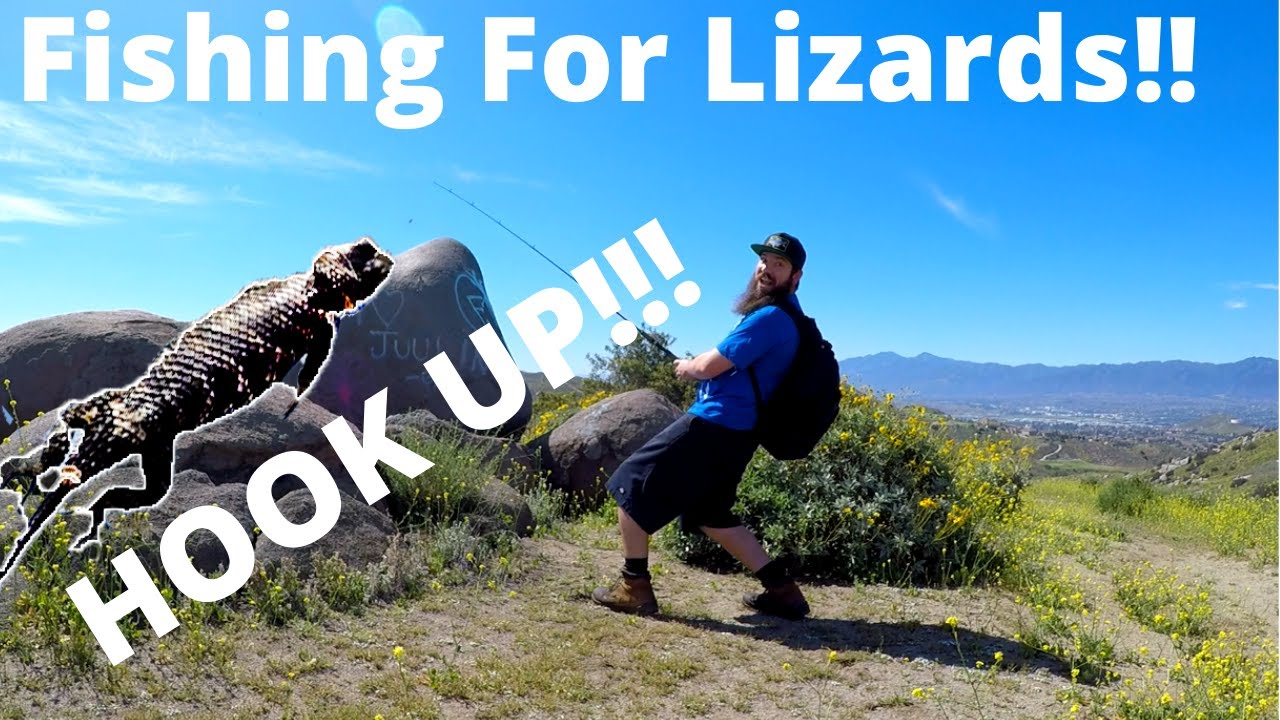 FISHING FOR LIZARDS!! YouTube