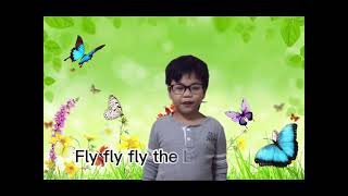 Fly Fly Fly The Erfly