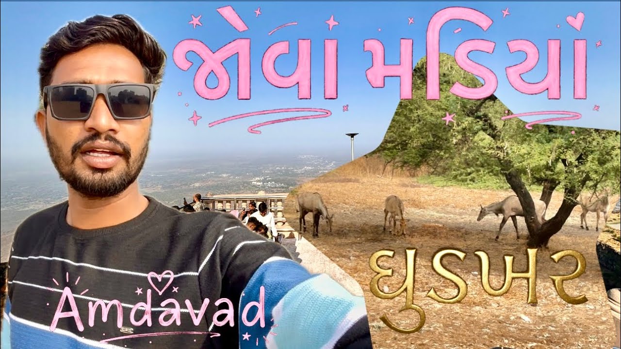 @Amdavad Rod Par જોવામડિયા ઘુડખર (લિલ) #video #trending