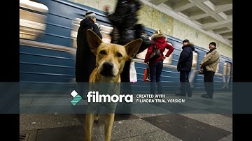 Story board final draft