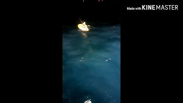 Câu Cá bè biển đông