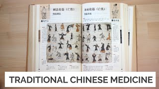 Traditional Chinese Medicine For Beginners screenshot 2