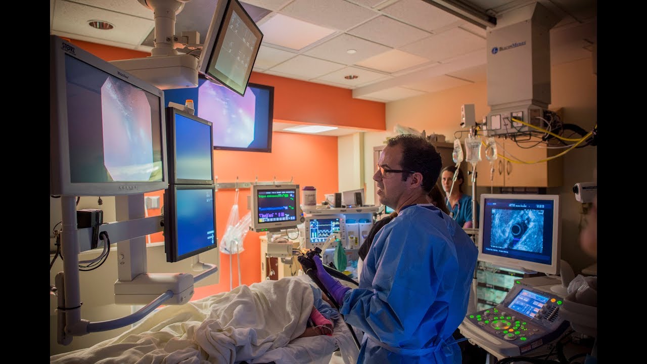 Diagnostic and Therapeutic Uses of BalloonAssisted Enteroscopy in