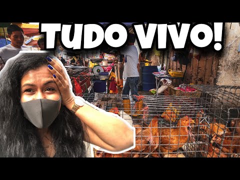 Vídeo: Os melhores mercados úmidos de Hong Kong