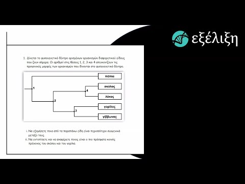 Βίντεο: Τι είναι η εξέλιξη στην τάξη βιολογίας 10;