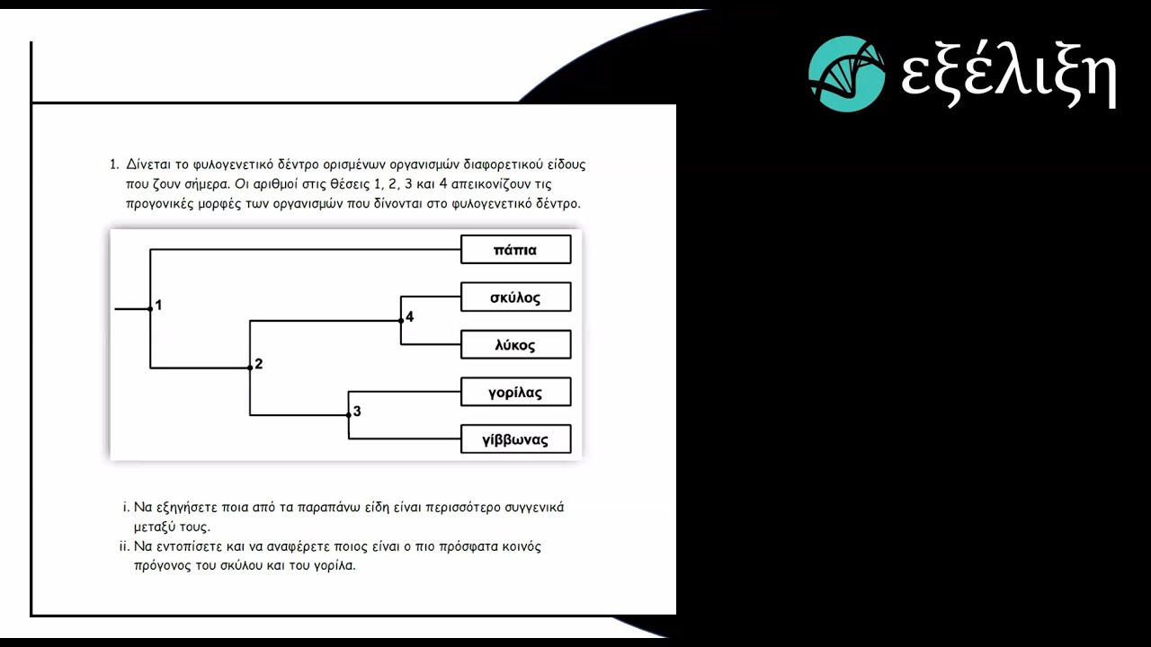Εξέλιξη  (Βιολογία Β' Λυκείου)