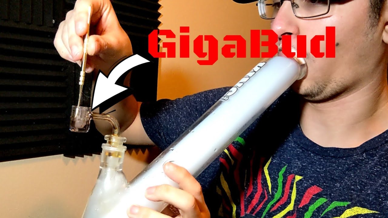 GigaBud Shatter Review 21+