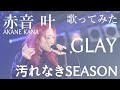 【女性が歌う】GLAY / 汚れなきSEASON covered by 赤音 叶