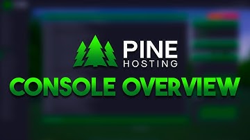 Console Overview | Pine Hosting Panel