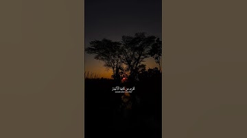 اذكر الله| سورة المائدة الاية 19 القارئ ياسر الدوسري #قران #اكتب_شي_توجر_عليه #ياسر_الدوسري  #quran