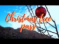 Decorations In The Desert | Christmas Tree Pass - Laughlin Nevada