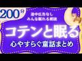 名作朗読 心温まる日本の童話集 元NHKフリアナウンサー 読み聞かせ @yukakumazakioyasumirodoku
